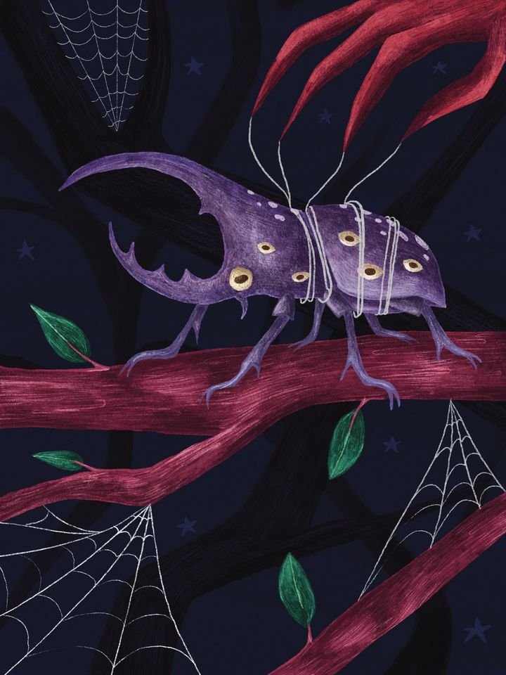Bug Soup